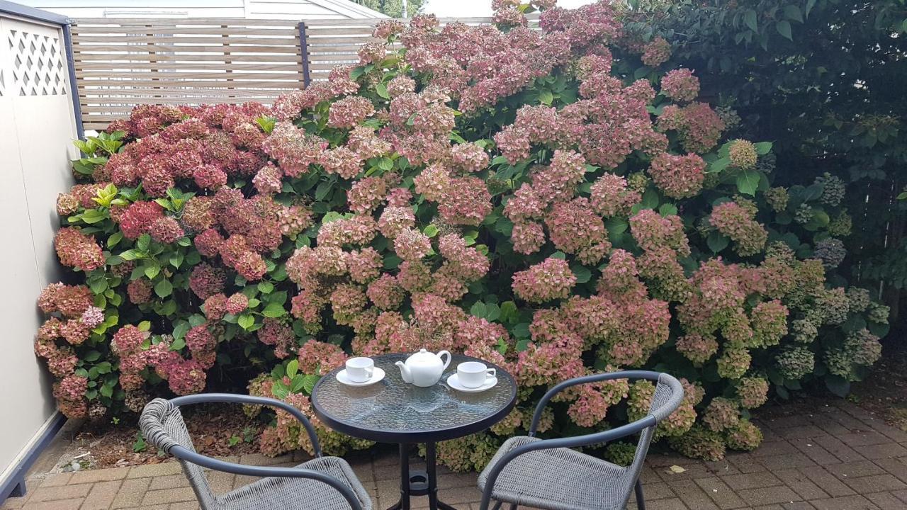 Palm Court Motel Otorohanga Luaran gambar